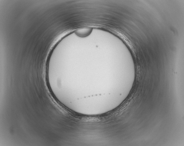 X0000115791187200912111142