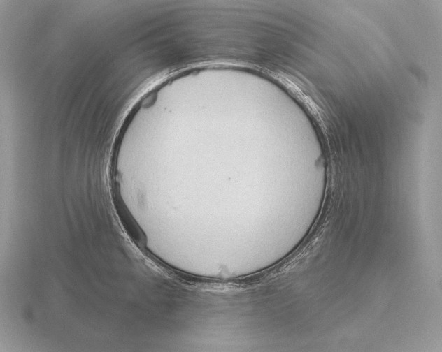 X0000115791189200912111142