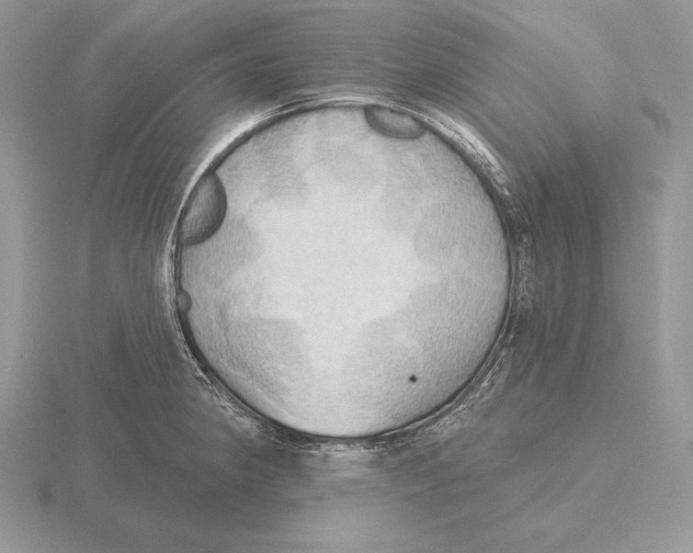 X0000115791190200912111142