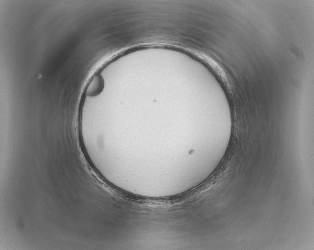 X0000115791191200912111142