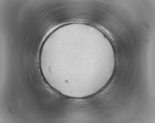 X0000115791192200912111142