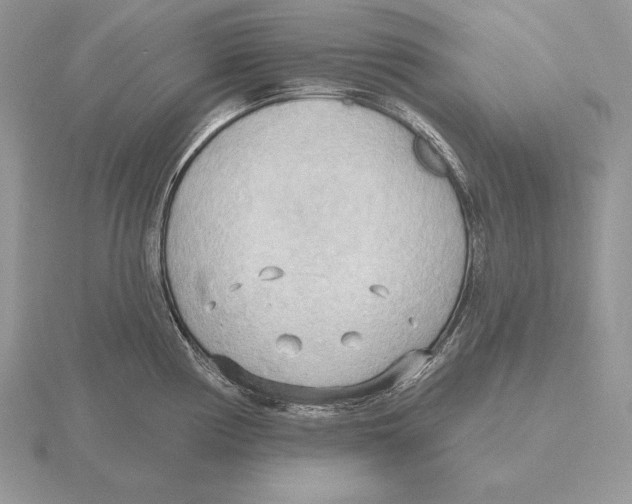 X0000115791194200912111142