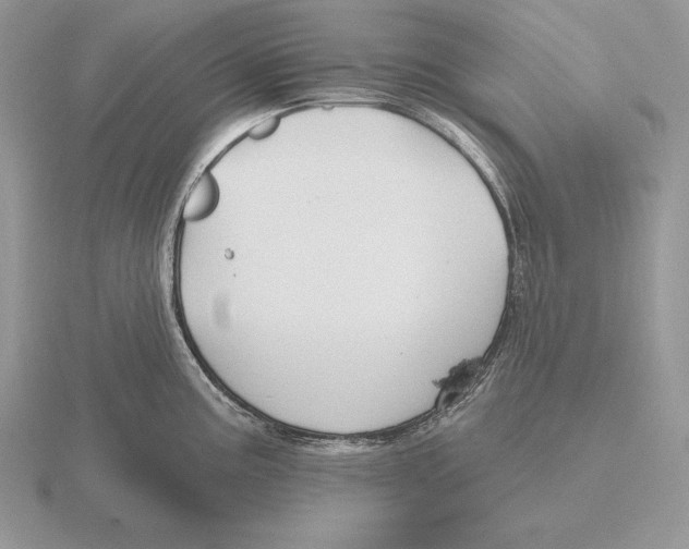 X0000115791195200912111142