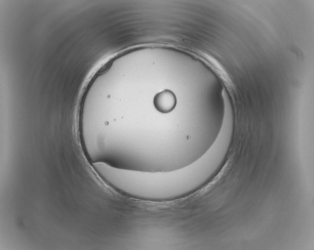 X0000115791196200912111142