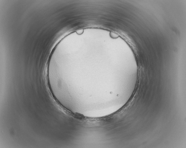 X0000115791198200912111142