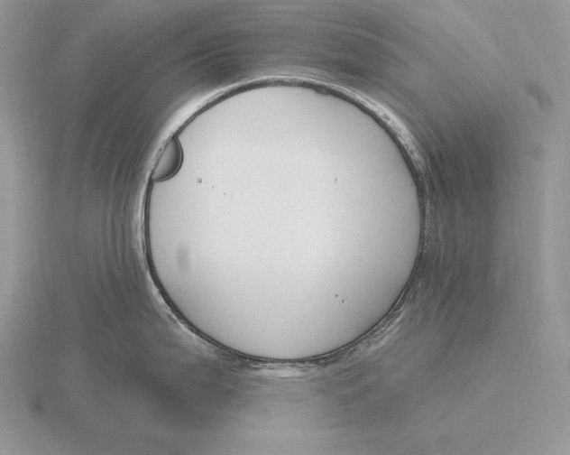 X0000115791199200912111142