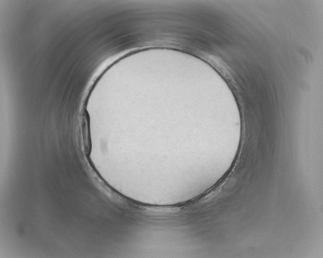 X0000115791200200912111142