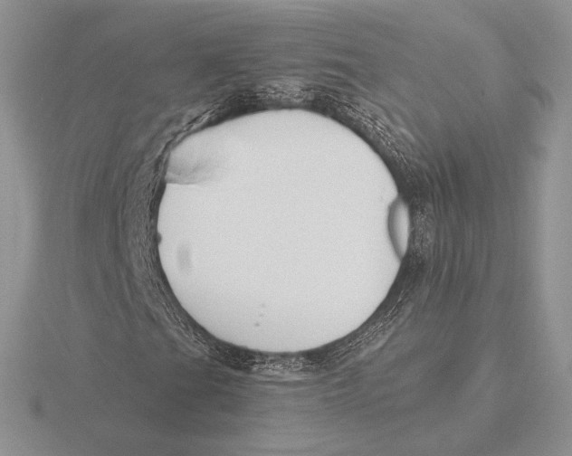 X0000115791201200912111141