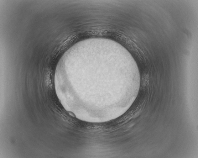 X0000115791202200912111141