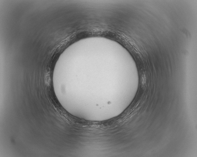 X0000115791204200912111141