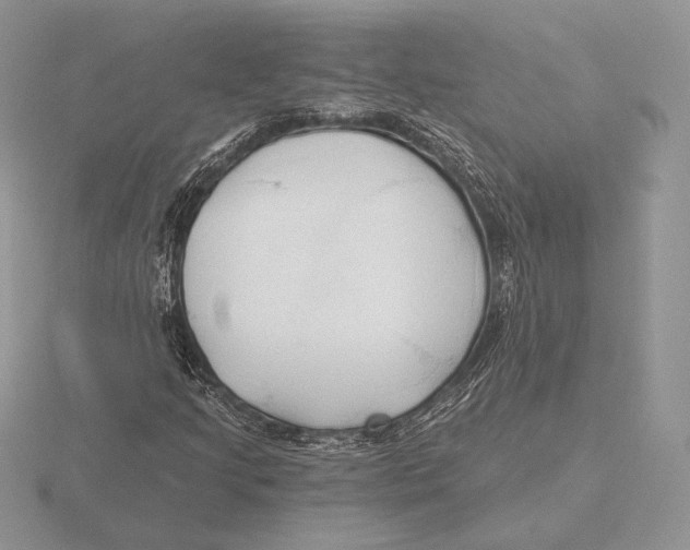 X0000115791205200912111141