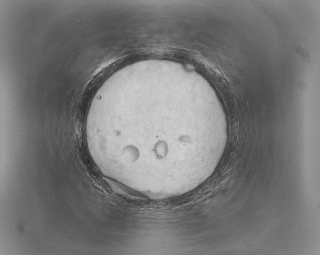 X0000115791206200912111141