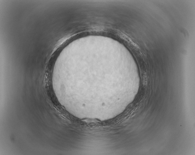 X0000115791208200912111141