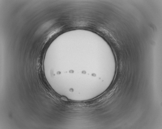 X0000115791210200912111141