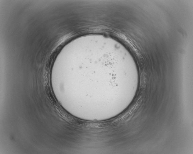 X0000115791211200912111141