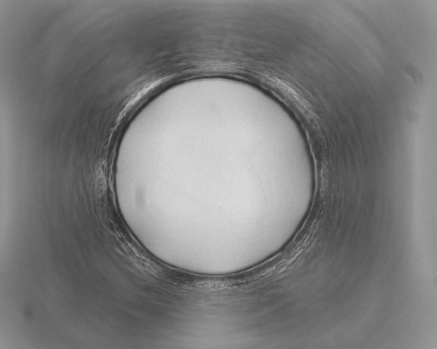 X0000115791212200912111141