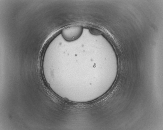 X0000115791216200912111141