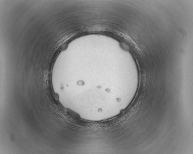 X0000115791217200912111141