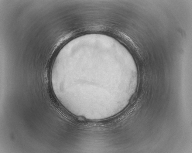 X0000115791218200912111141