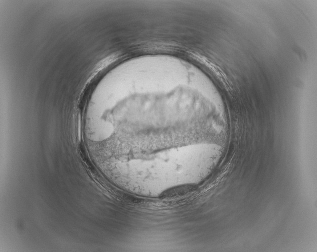 X0000115791219200912111141