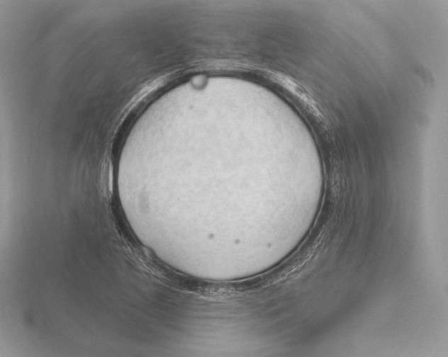 X0000115791221200912111141