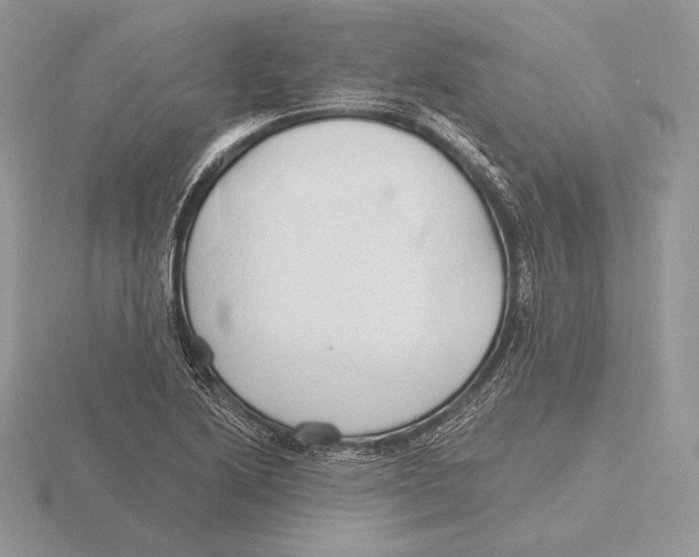 X0000115791222200912111141