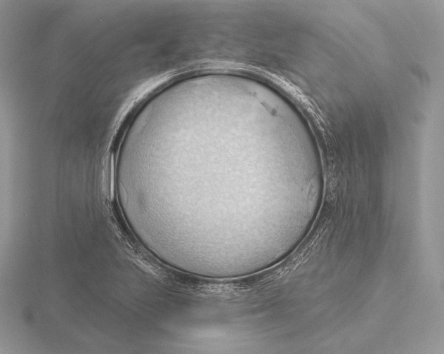 X0000115791223200912111141