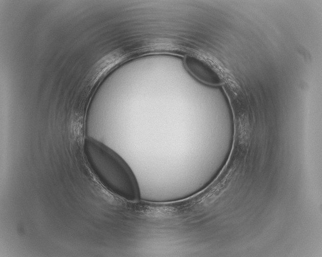 X0000115791225200912111141