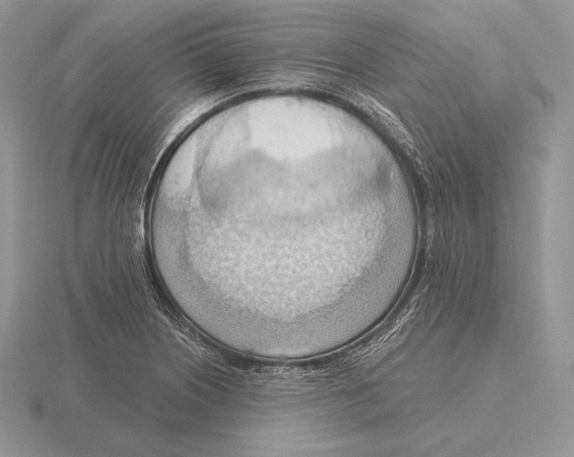 X0000115791226200912111141