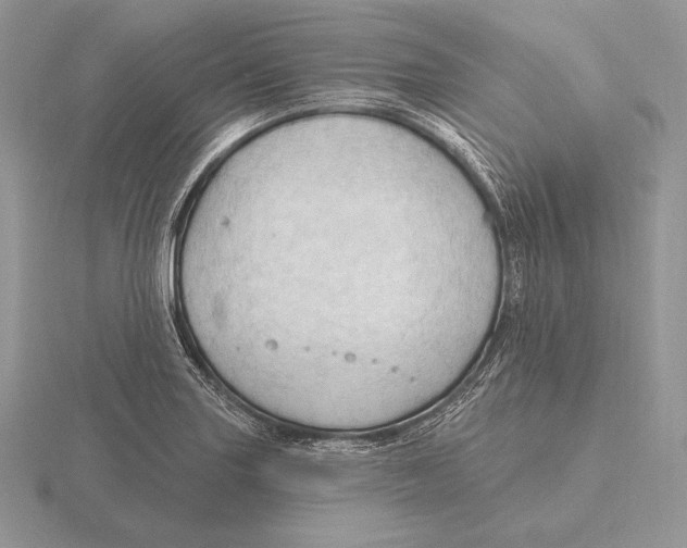 X0000115791227200912111141