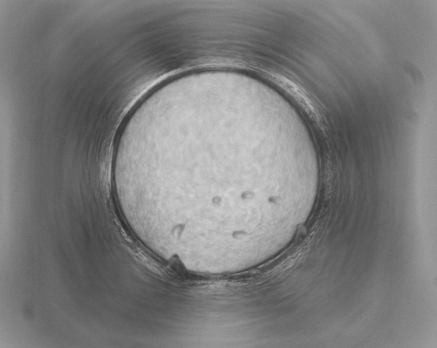 X0000115791228200912111141