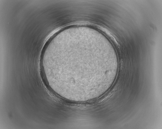 X0000115791229200912111141