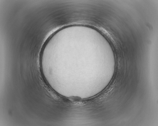 X0000115791230200912111141