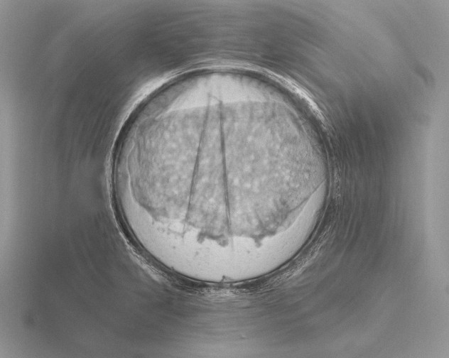 X0000115791231200912111141