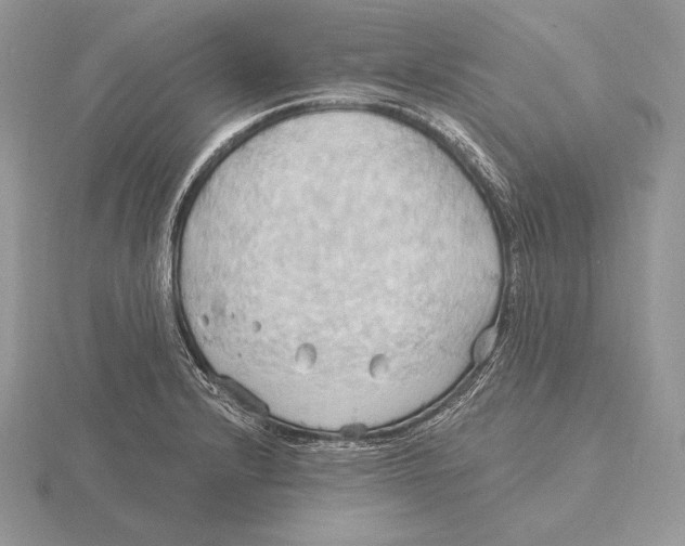 X0000115791232200912111141