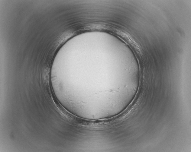 X0000115791233200912111141