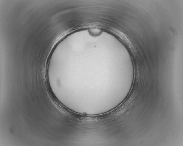 X0000115791234200912111141