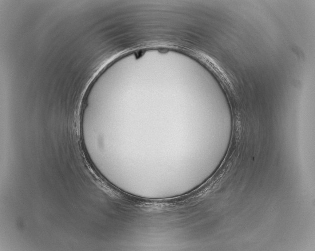 X0000115791236200912111141