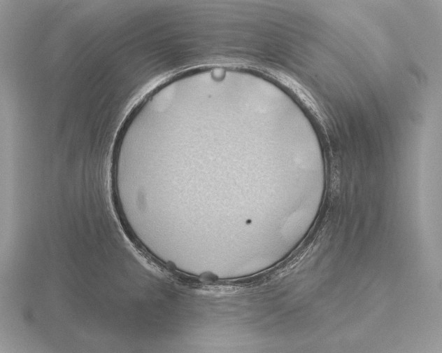 X0000115791237200912111141