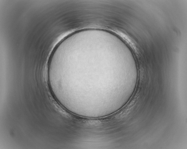 X0000115791238200912111141