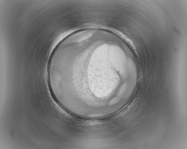 X0000115791239200912111141