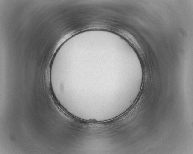 X0000115791242200912111141