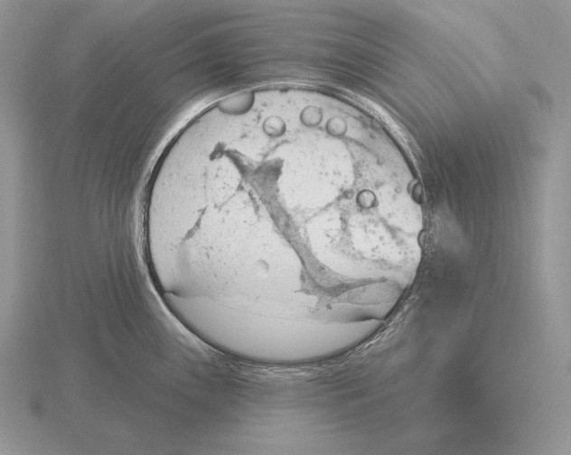 X0000115791243200912111141