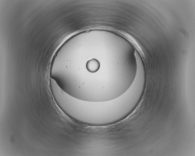 X0000115791244200912111141