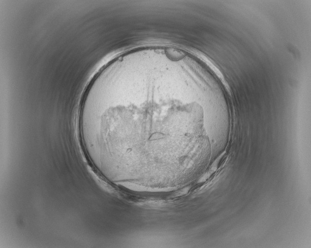 X0000115791245200912111141