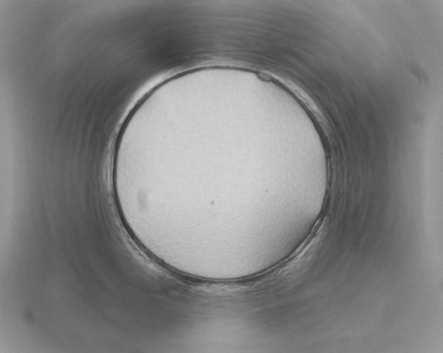 X0000115791246200912111142