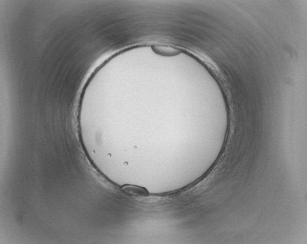 X0000115791248200912111142