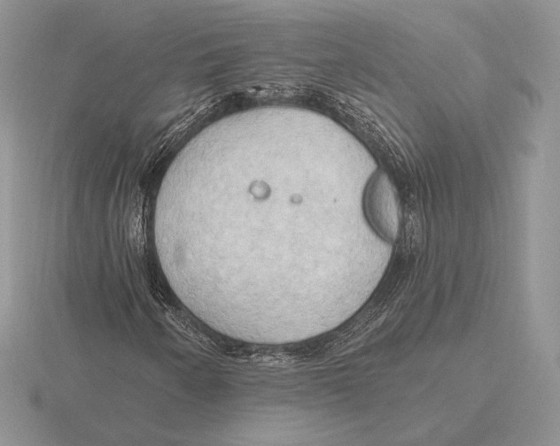 X0000115791250200912111141