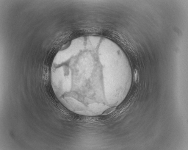 X0000115791251200912111141