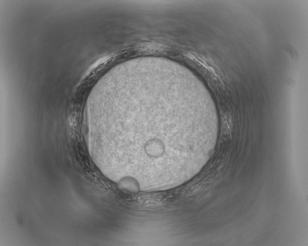 X0000115791254200912111141